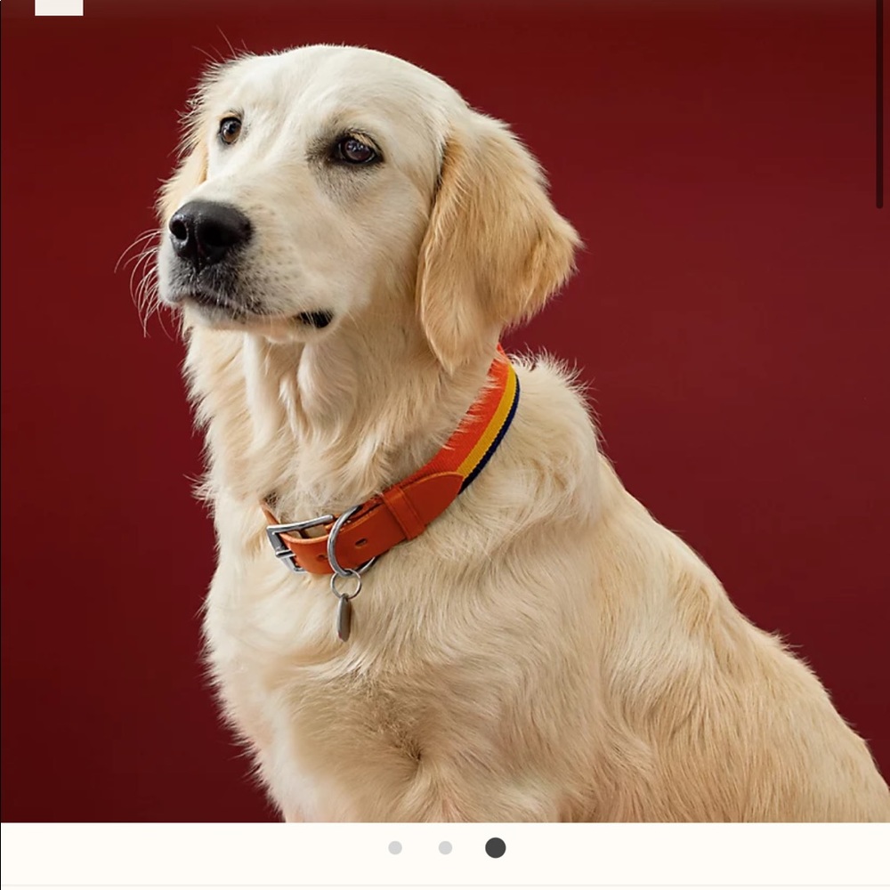 Hermes Dog collar Large size